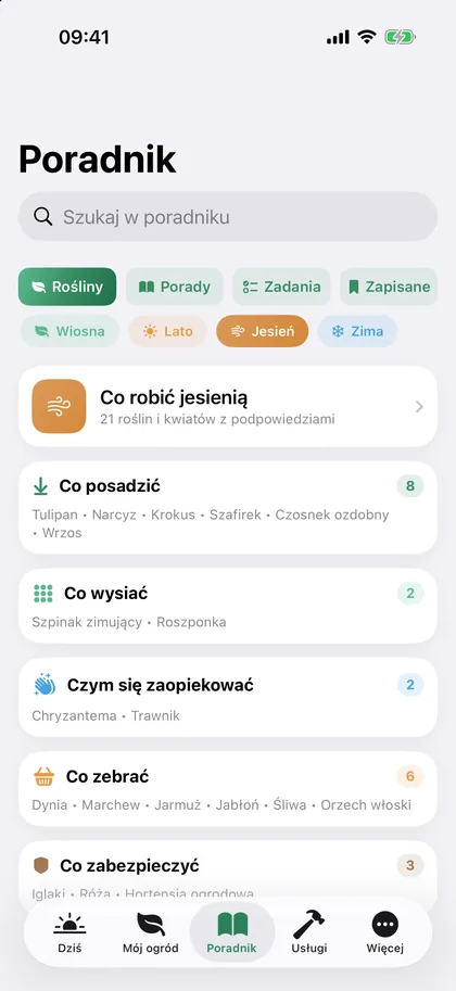 Poradnik jesienny: co posadzić, co wysiać, co zebrać i co zabezpieczyć