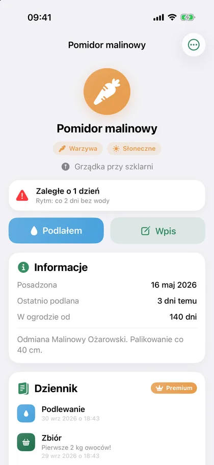 Karta rośliny Pomidor malinowy: rytm podlewania, informacje i dziennik